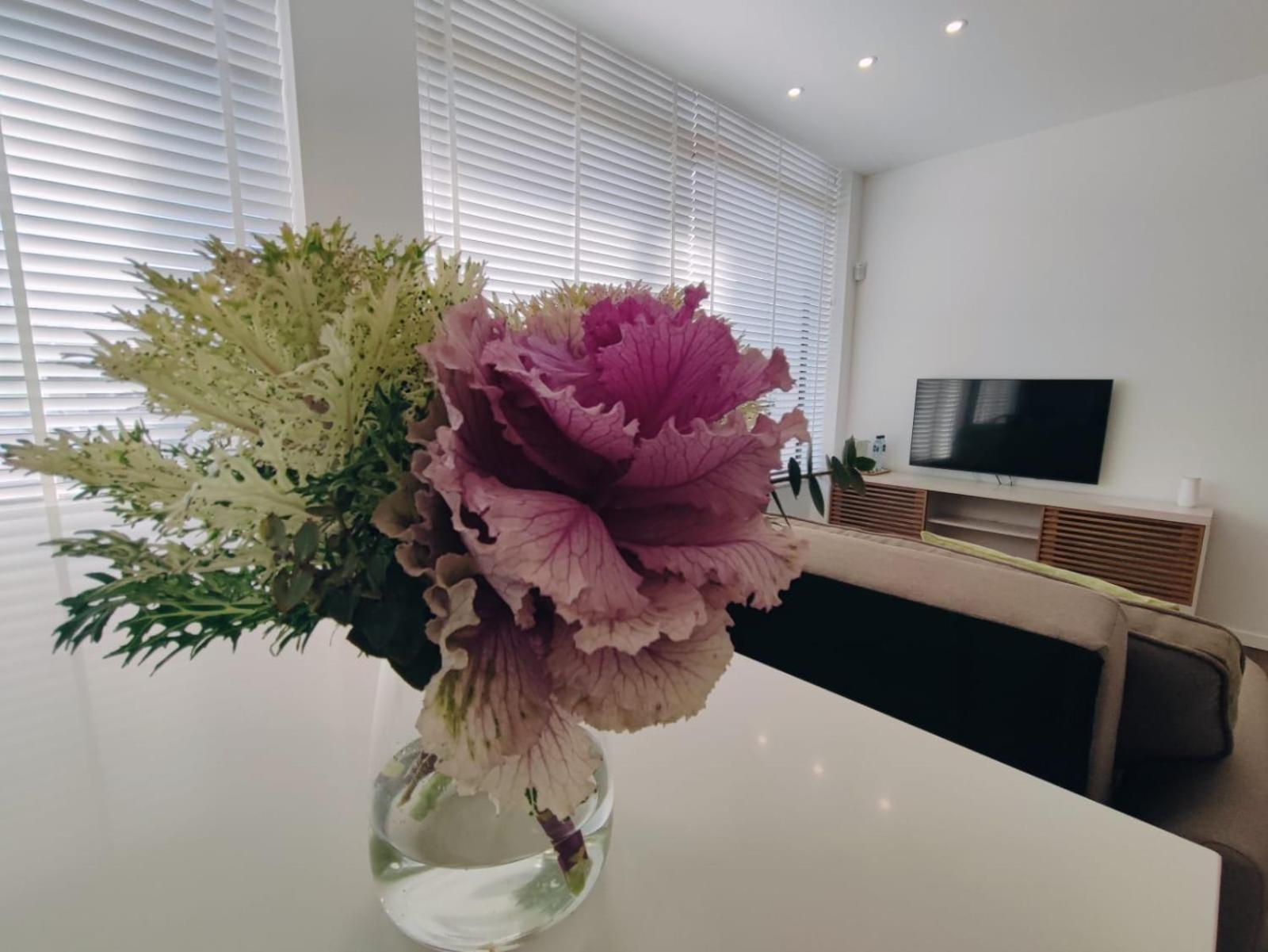 Apartament Al.Fredos Mindelo Zewnętrze zdjęcie